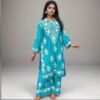 2-PIECE INDIAN CHICKEN KARI OUTFIT – PREMIUM BRANDED QUALITY - Image 2