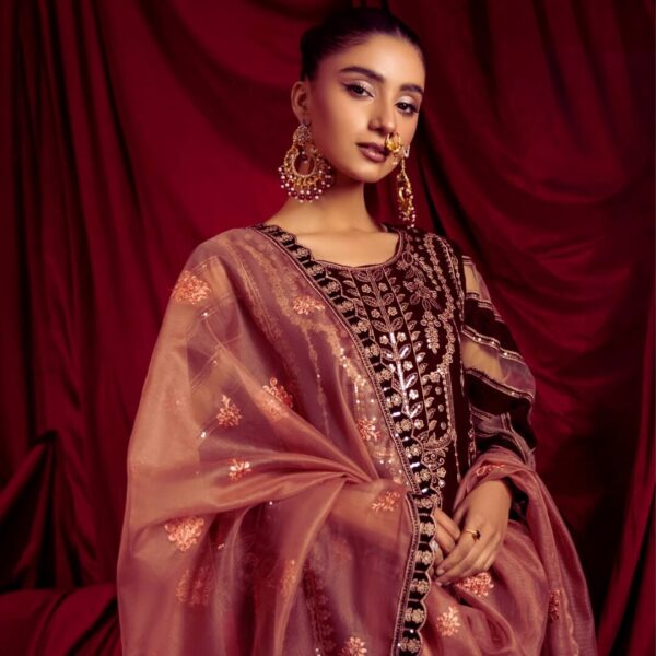 UNSTITCHED LUXURY WINTER VELVET COLLECTION – 6 EXCLUSIVE DESIGNS & COLORS - Image 2