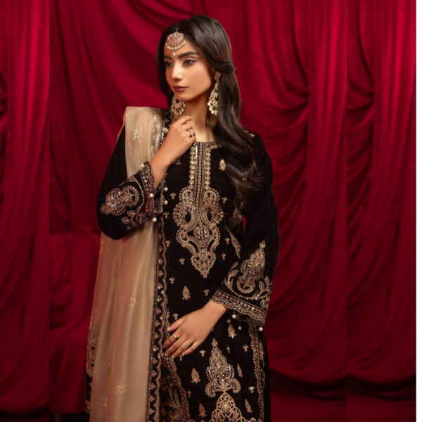 UNSTITCHED LUXURY WINTER VELVET COLLECTION – 6 EXCLUSIVE DESIGNS & COLORS - Image 9